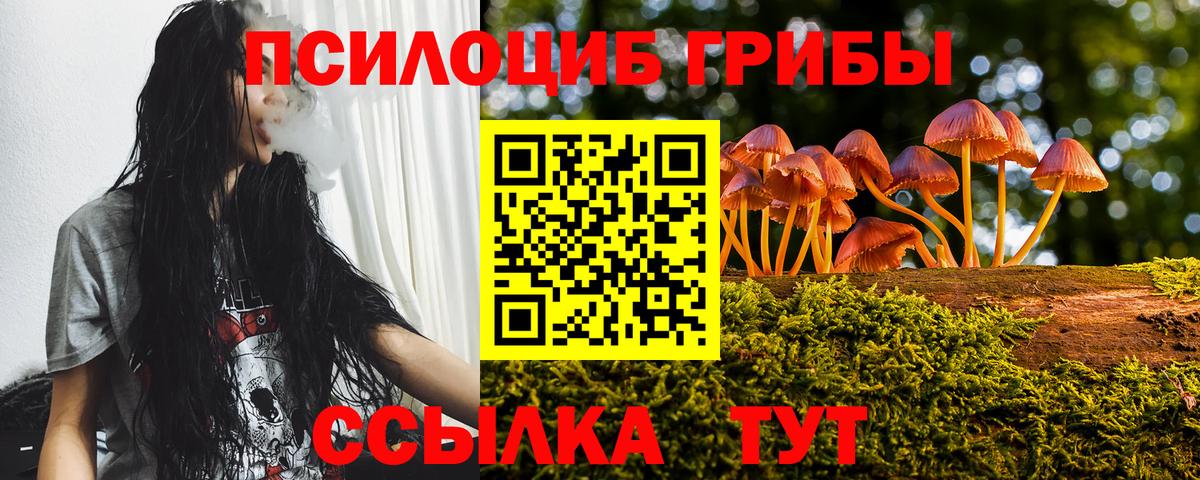 Псилоцибиновые грибы ЛСД Уссурийск